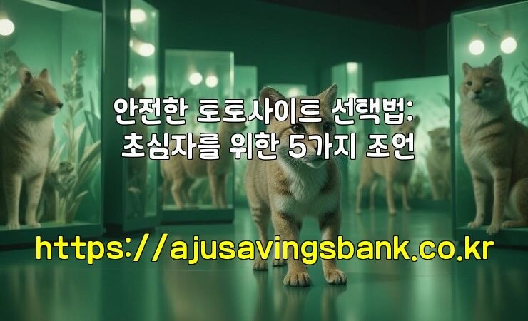 안전한 토토사이트 선택법: 초심자를 위한 5가지 조언