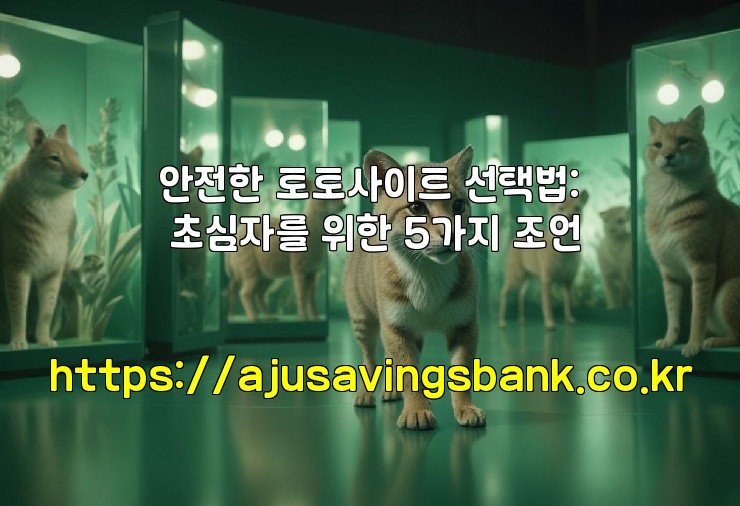안전한 토토사이트 선택법: 초심자를 위한 5가지 조언