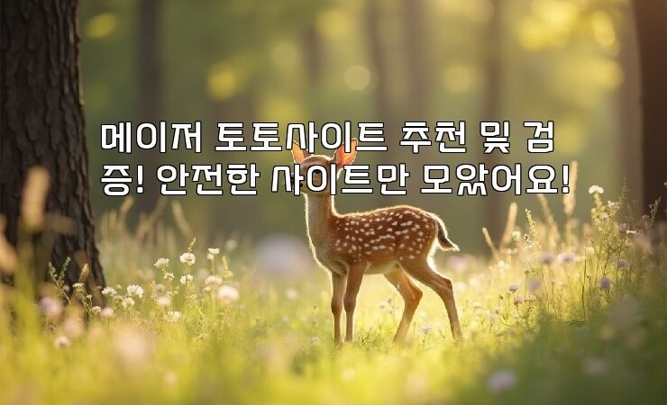 메이저 토토사이트 추천 및 검증! 안전한 사이트만 모았어요!