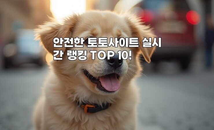 안전한 토토사이트 실시간 랭킹 TOP 10!