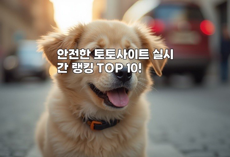 안전한 토토사이트 실시간 랭킹 TOP 10!