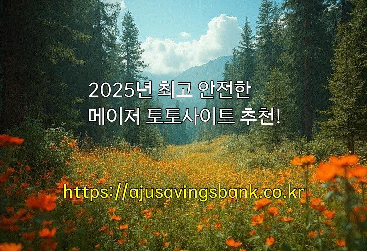 2025년 최고 안전한 메이저 토토사이트 추천!