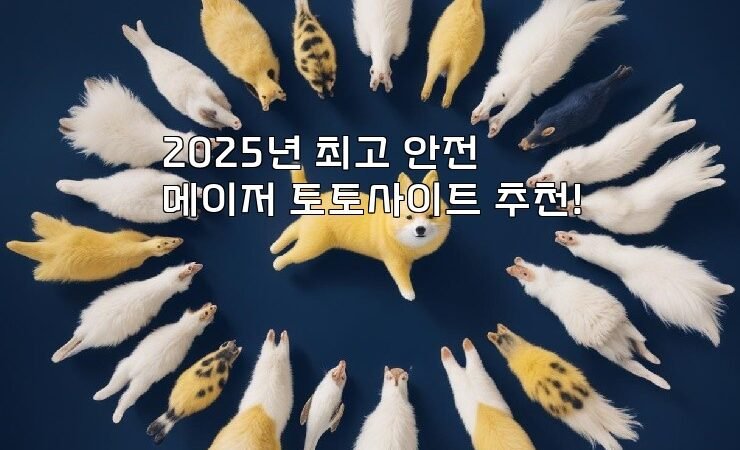 2025년 최고 안전 메이저 토토사이트 추천!
