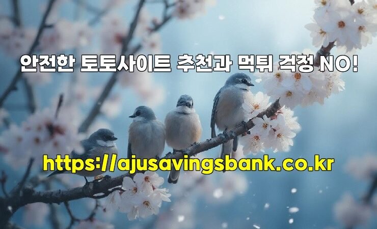 안전한 토토사이트 추천과 먹튀 걱정 NO!