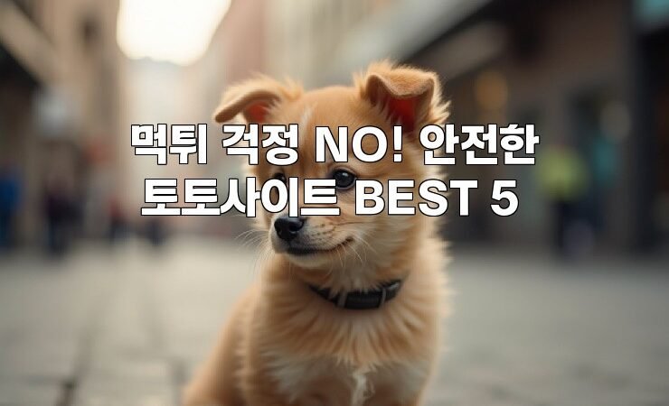 먹튀 걱정 NO! 안전한 토토사이트 BEST 5