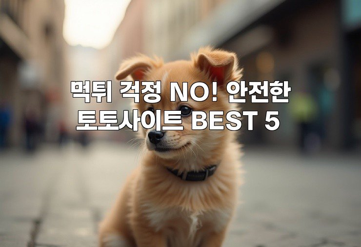 먹튀 걱정 NO! 안전한 토토사이트 BEST 5