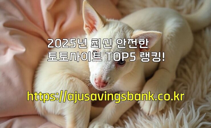 2025년 최신 안전한 토토사이트 TOP5 랭킹!