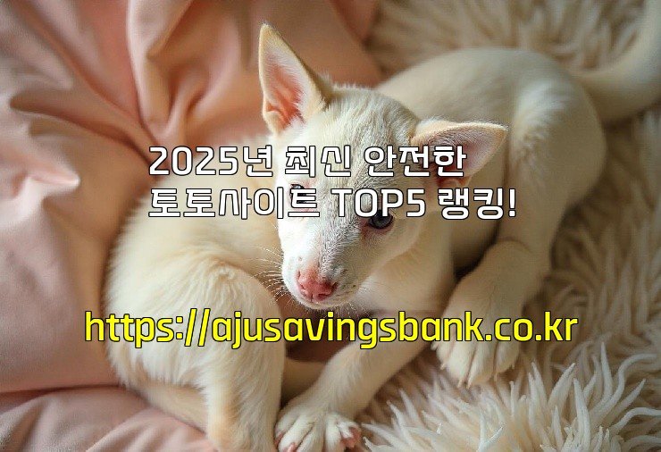 2025년 최신 안전한 토토사이트 TOP5 랭킹!