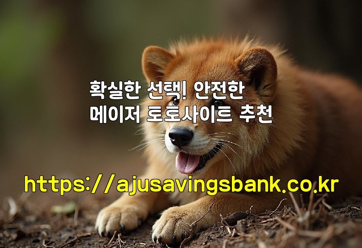 확실한 선택! 안전한 메이저 토토사이트 추천