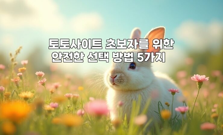 토토사이트 초보자를 위한 안전한 선택 방법 5가지