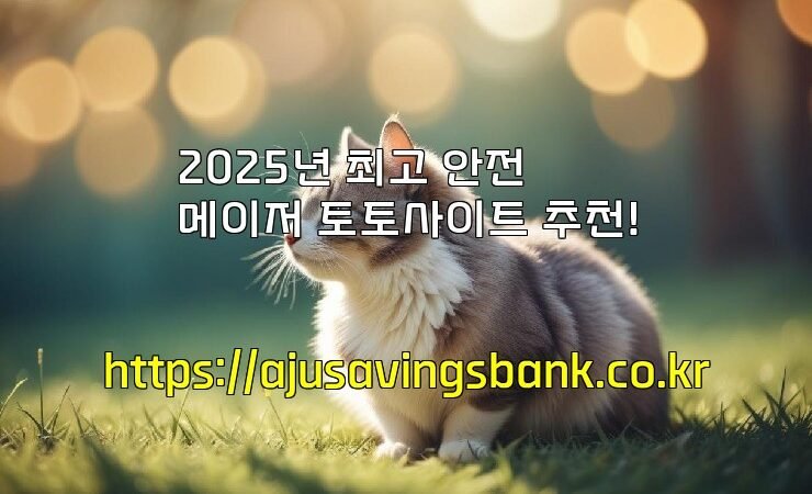 2025년 최고 안전 메이저 토토사이트 추천!