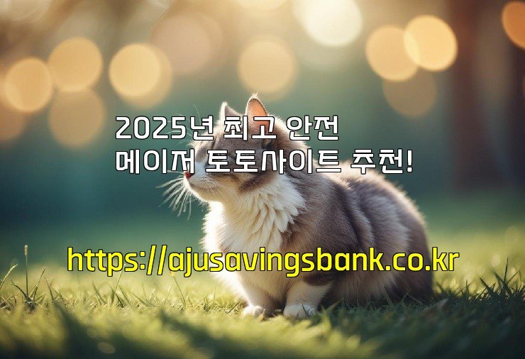 2025년 최고 안전 메이저 토토사이트 추천!