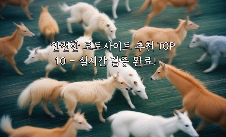안전한 토토사이트 추천 TOP 10 – 실시간 검증 완료!