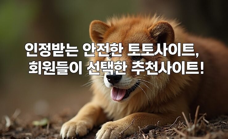 인정받는 안전한 토토사이트, 회원들이 선택한 추천사이트!