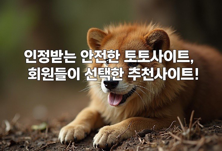인정받는 안전한 토토사이트, 회원들이 선택한 추천사이트!