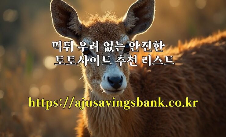 먹튀 우려 없는 안전한 토토사이트 추천 리스트