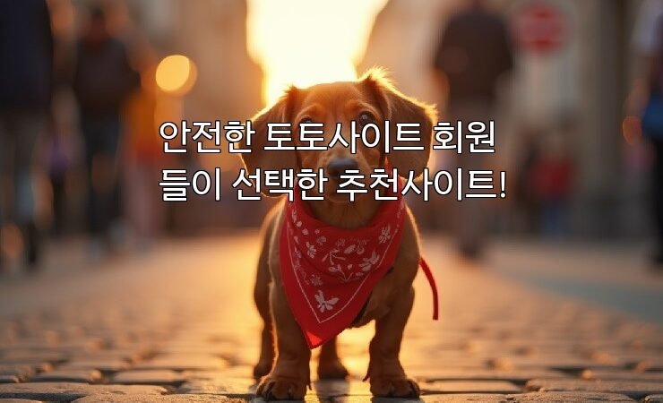 안전한 토토사이트 회원들이 선택한 추천사이트!