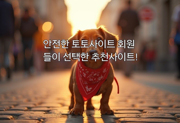 안전한 토토사이트 회원들이 선택한 추천사이트!