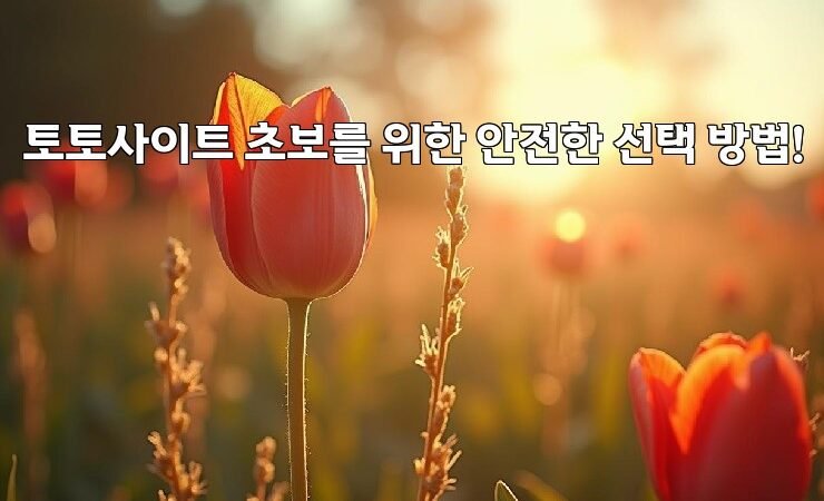토토사이트 초보를 위한 안전한 선택 방법!
