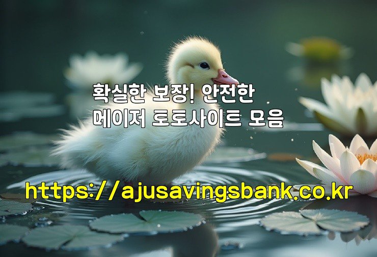 확실한 보장! 안전한 메이저 토토사이트 모음