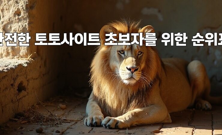 안전한 토토사이트 초보자를 위한 순위표