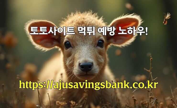 토토사이트 먹튀 예방 노하우!