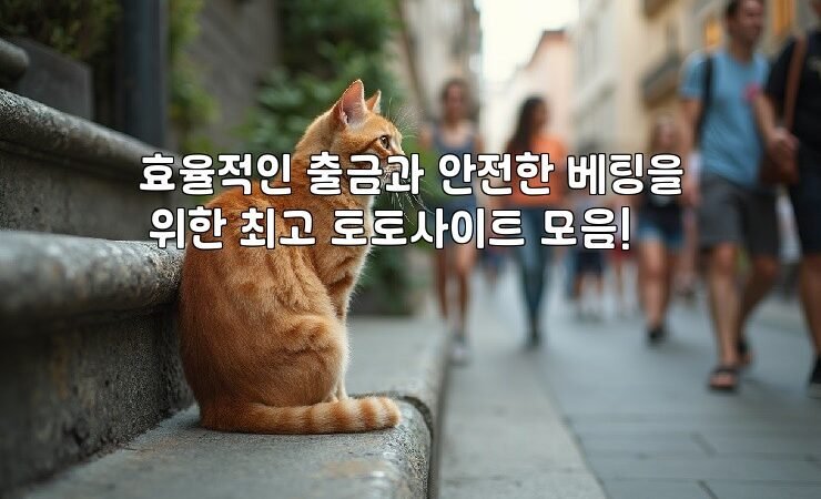 효율적인 출금과 안전한 베팅을 위한 최고 토토사이트 모음!