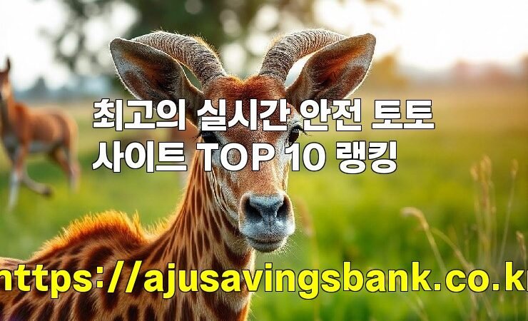 최고의 실시간 안전 토토사이트 TOP 10 랭킹
