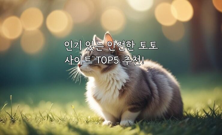 인기 있는 안전한 토토사이트 TOP5 추천!