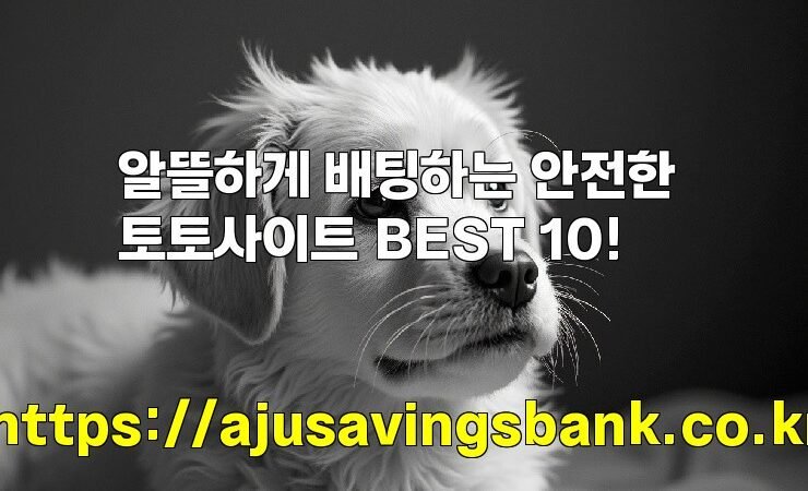 알뜰하게 배팅하는 안전한 토토사이트 BEST 10!