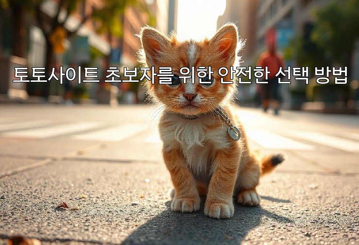 토토사이트 초보자를 위한 안전한 선택 방법